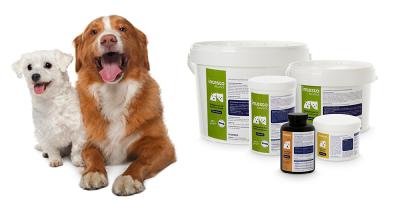 Futterzellulose-Produkte-Hunde
