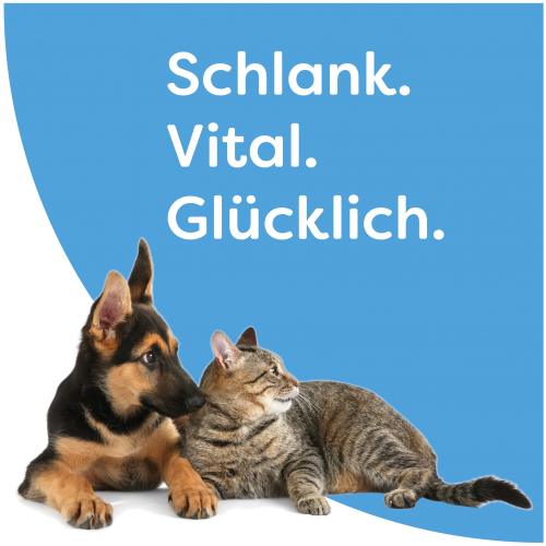 intesto-futterzellulose-hunde-katzen