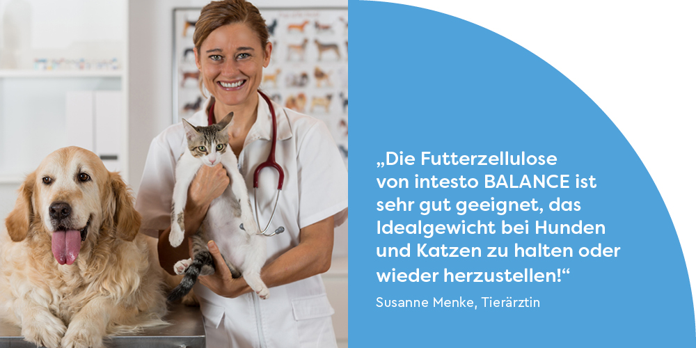 Futterzellulose-Tierärzte-Hunde-Katzen